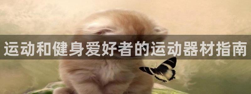 星欧娱乐最建议买的三个游戏：运动和健身爱好者的运动器