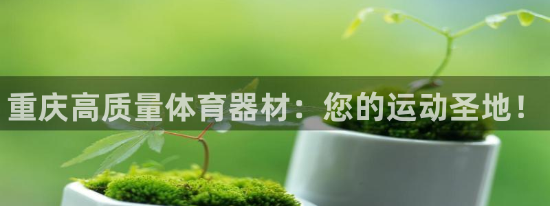 星欧娱乐平台测速线路