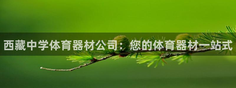 星奥娱乐待遇怎么样：西藏中学体育器材公司：您的体育器
