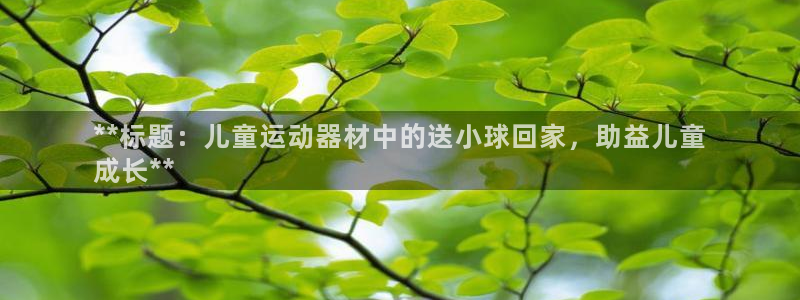 星奥娱乐旗下艺人：**标题：儿童运动器材中的送小球回