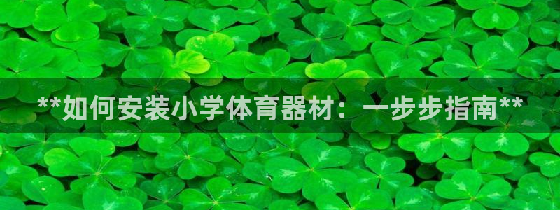 星欧娱乐平台怎么样可靠吗：**如何安装小学体育器材：
