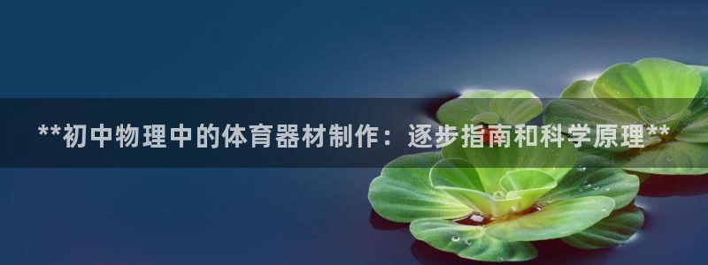 星欧娱乐最建议买的三个产品：**初中物理中的体育器材