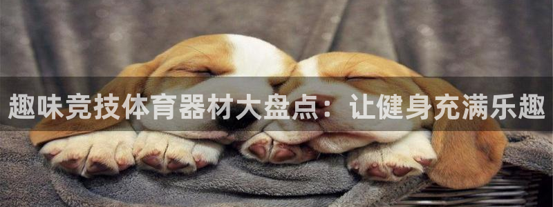 星奥娱乐集团股份有限公司怎么样：趣味竞技体育器材大盘