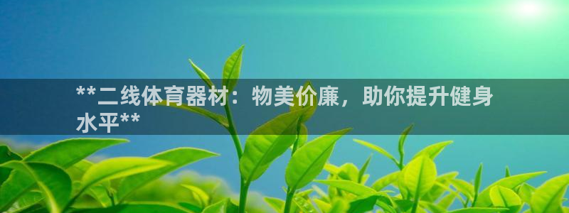 星欧娱乐扣款流程详解视频下载：**二线体育器材：物美