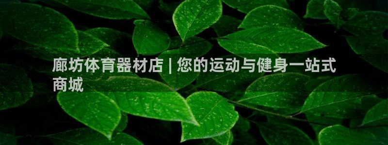 星欧娱乐是正规平台吗安全吗：廊坊体育器材店 | 您的