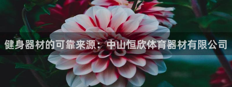 星欧娱乐v8.0.3最新版本更新内容介绍：健身器材的