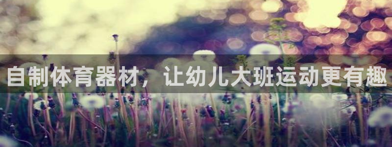 星欧娱乐公司创始人背景故事介绍：自制体育器材，让幼儿