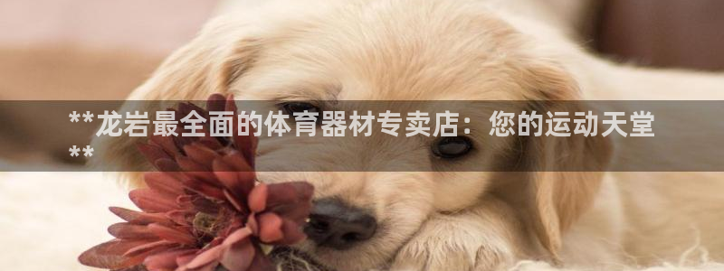 星欧娱乐联4.8.5.6.2.4.3下载：**龙岩最