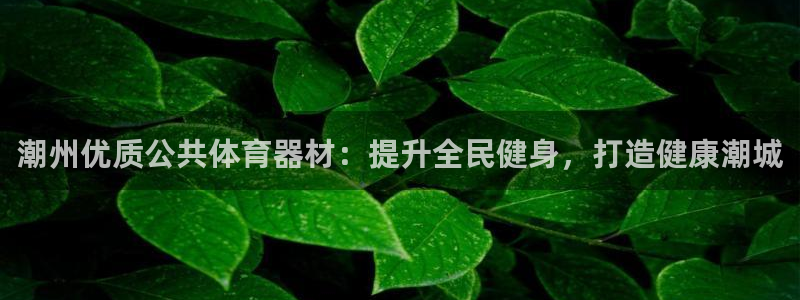 星欧娱乐测速怎么样：潮州优质公共体育器材：提升全民健