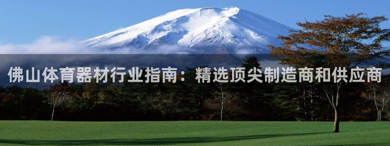 星欧娱乐扣款流程详解视频下载：佛山体育器材行业指南：