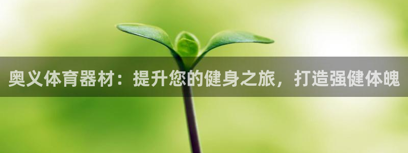 星欧娱乐挂机教程：奥义体育器材：提升您的健身之旅，打