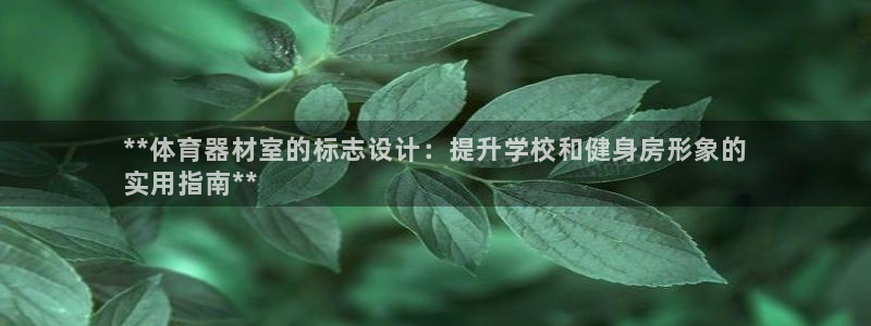 星欧娱乐平台怎么样：**体育器材室的标志设计：提升学