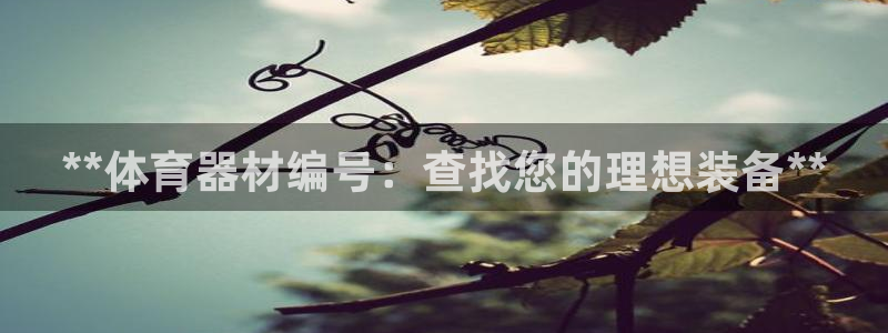 星欧娱乐扣款流程详解图片：**体育器材编号：查找您的