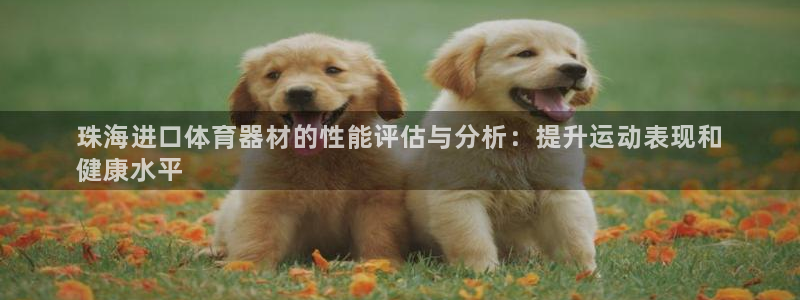 星欧娱乐法最新进展：珠海进口体育器材的性能评估与分析
