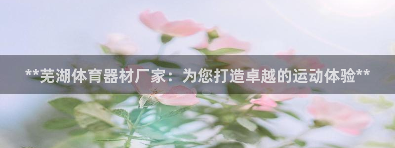 星欧娱乐的创始人背景故事是什么：**芜湖体育器材厂家