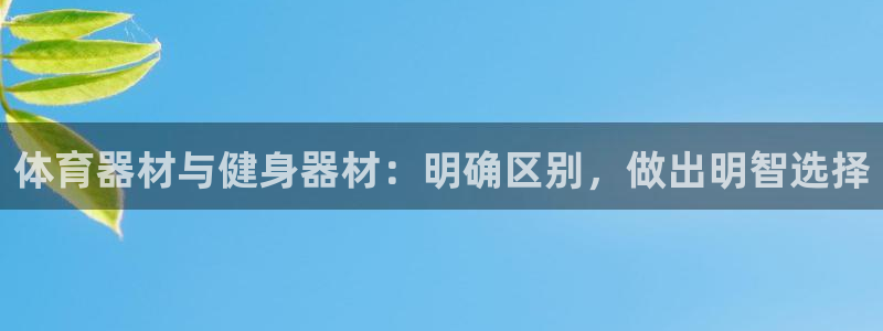 星欧娱乐扣款时间查询方法怎么查的：体育器材与健身器材