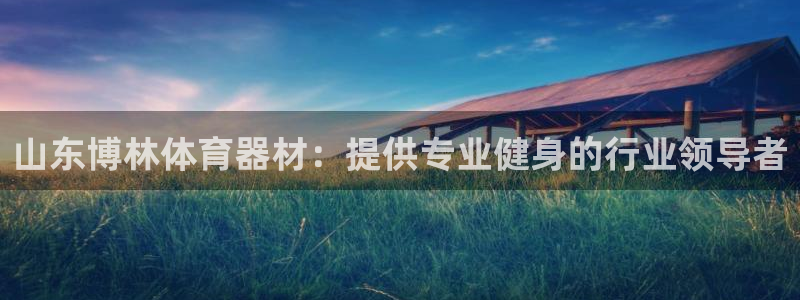 星奥娱乐集团股份有限公司：山东博林体育器材：提供专业