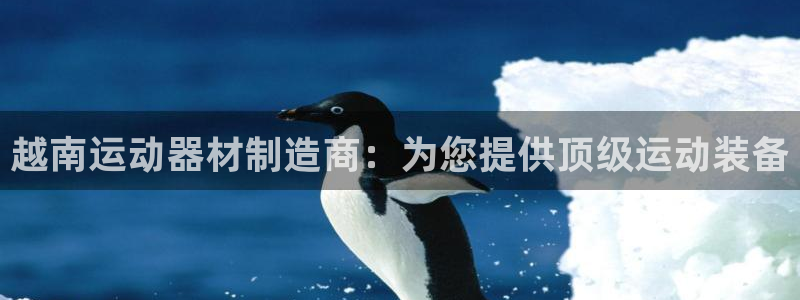 星娱乐online刘亦菲：越南运动器材制造商：为您提