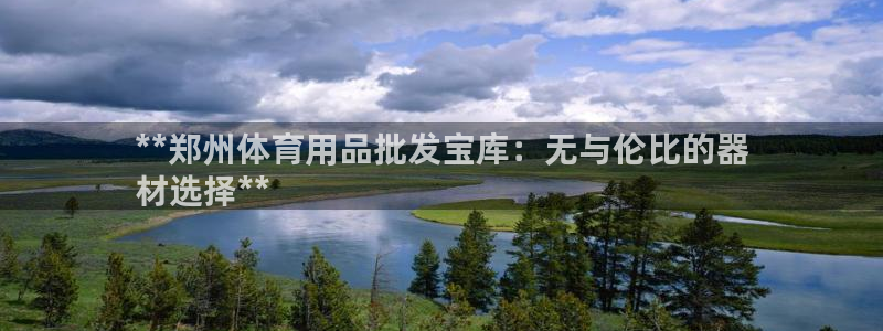 星奥盛典娱乐会所：**郑州体育用品批发宝库：无与伦比