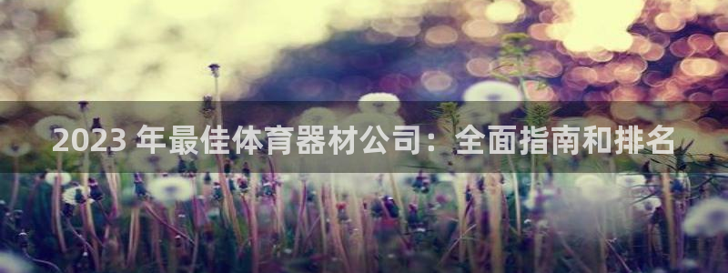 星欧娱乐是正规品牌吗：2023 年最佳体育器材公司：