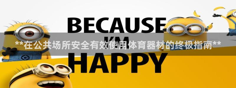 星乐娱乐：**在公共场所安全有效使用体育器材的终极指