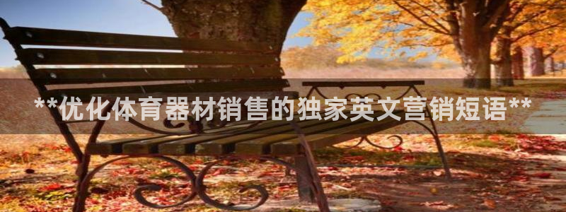 星欧娱乐属于什么档次：**优化体育器材销售的独家英文