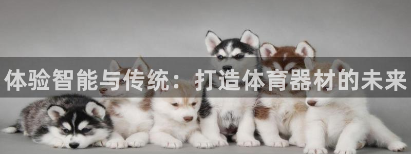 星欧娱乐扣款时间查询方法怎么查的