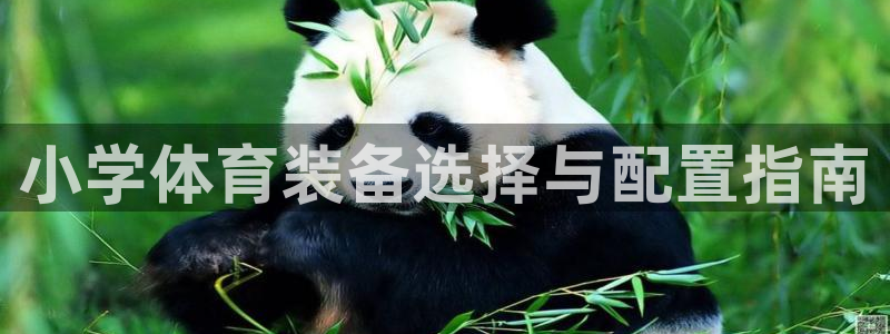 星欧娱乐官网下载安装