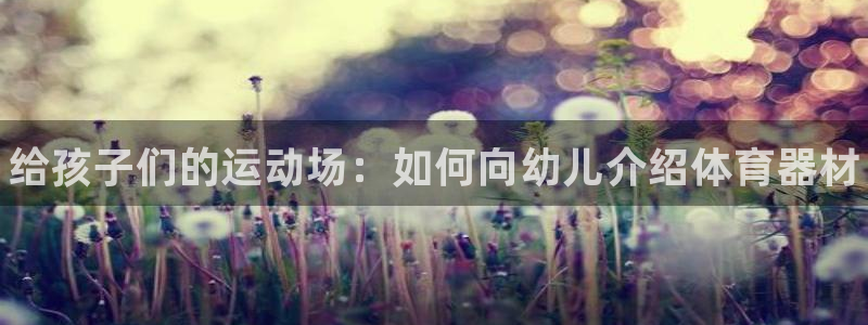 星欧娱乐公司创始人背景故事简介：给孩子们的运动场：如何向幼儿