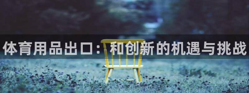 星奥娱乐艺人：体育用品出口：和创新的机遇与挑战