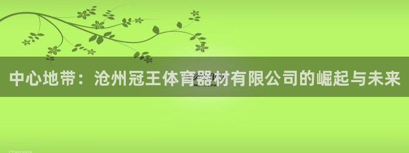 星欧娱乐彩票软件下载：中心地带：沧州冠王体育器材有限