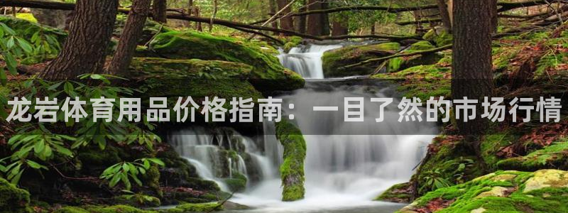 星澳娱乐公司地址：龙岩体育用品价格指南：一目了然的市