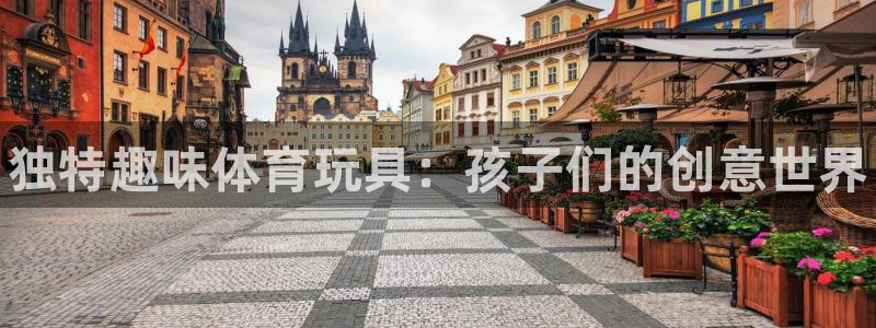 星欧娱乐扣款时间查询方法怎么查不到：独特趣味体育玩具：孩子们