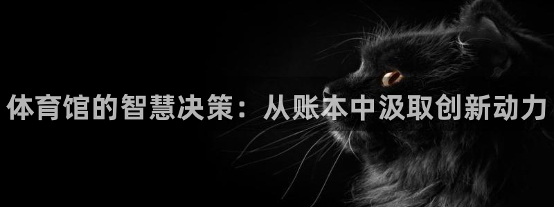 星澳娱乐公司怎么样：体育馆的智慧决策：从账本中汲取创新动力